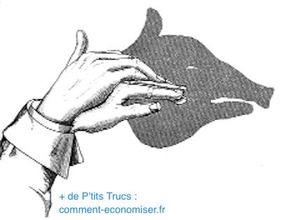 Cochon avec des ombres chinoises