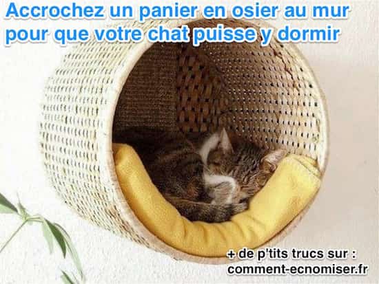 un chat dort dans son panier suspendu
