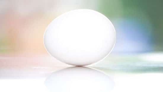 l'oeuf peut être utilisé comme shampoing