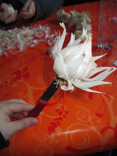 Faire une rose en peau d'ail 