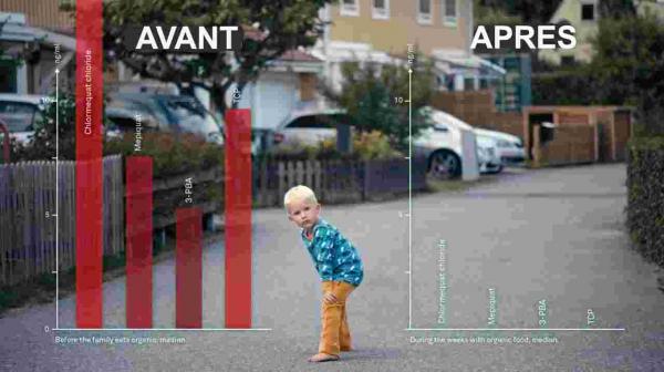 famille mange bio : les effets sur sa santé