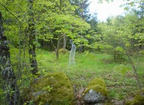 un fantome marche dans la forêt