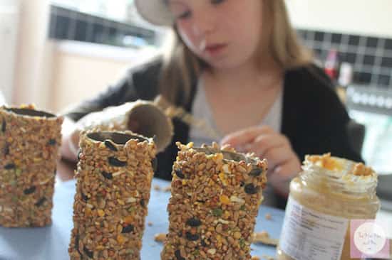 Fille qui met du beurre de cacahuète sur mangeoire pour oiseaux