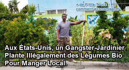 potager bio illégaux dans la ville