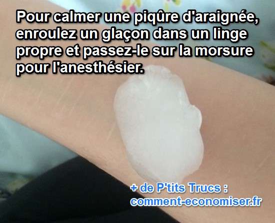 calmer une morsure d'araignée avec un glaçon pour anesthésier