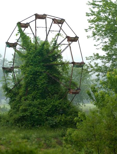 grand roue envahie par végétation