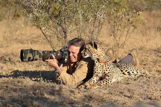 un guépard s'assoit à côté du photographe