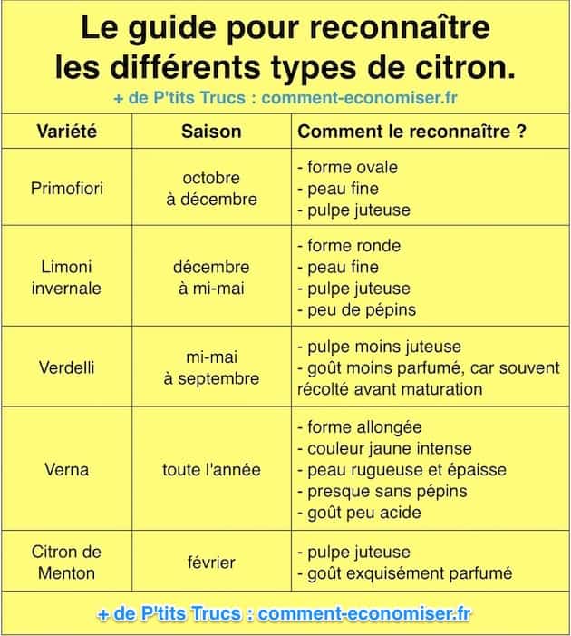 Comment faire pour distinguer et reconnaître les différents types et variétés de citron ? 