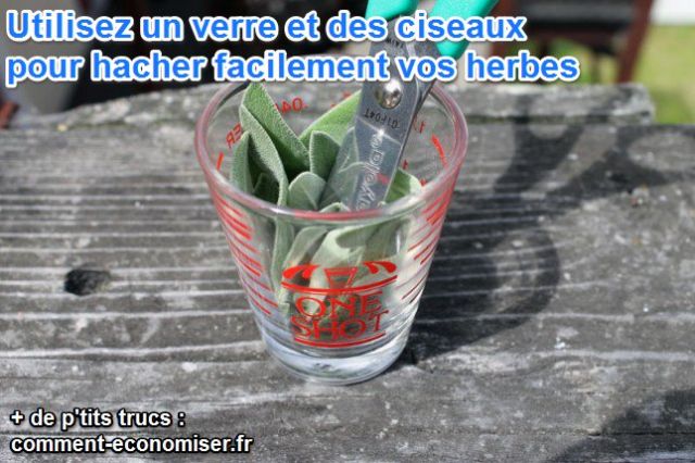 Un verre et des ciseaux pour hacher facilement les herbes
