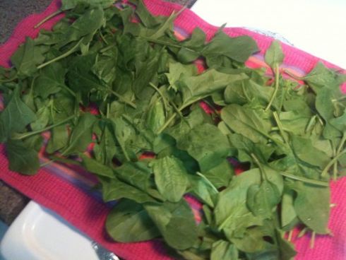 Boîtes De Conservation Pour Herbes Fraîches - Lot De 2 - Transparentes - Avec Bouchon - 25 Cm