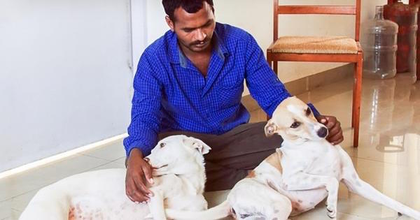 Balu caresse deux chiens recueillis et soignés