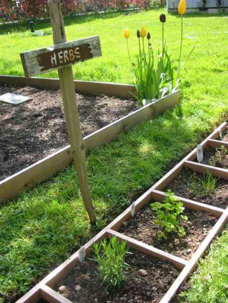 faites un potager avec une vieille échelle