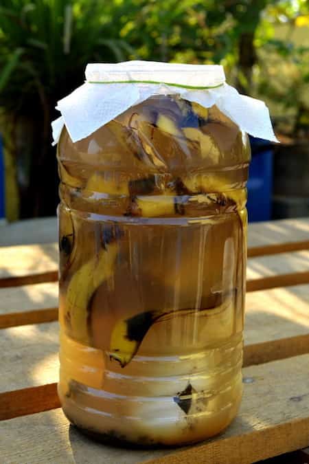 lutter contre dépression avec peau de banane infusée