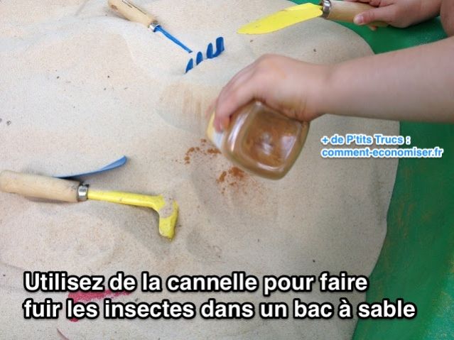 Utilisez de la cannelle pour faire fuir les insectes dans un bac à sable