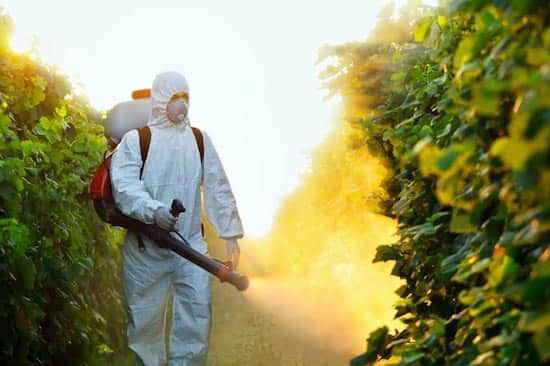 N'utilisez pas d'insecticides contre les abeilles