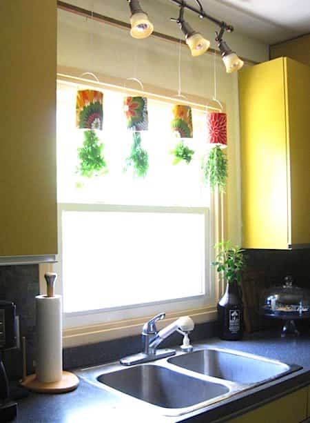 jardin suspendu pour la cuisine