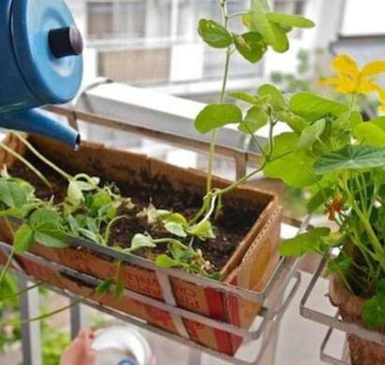 jardinière en carton recyclé