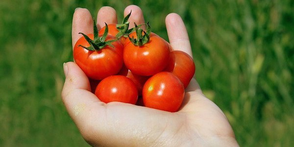 Tomato juice is effective in curing skin blemishes.