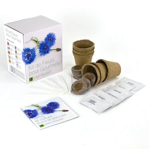 Kit de fleurs comestibles pas cher