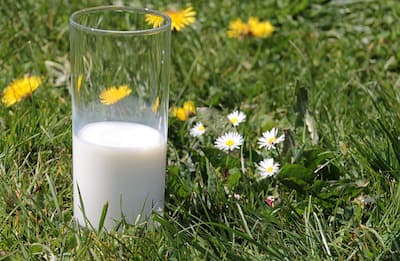 Buvez du lait écrémé qui contient du calcium
