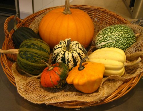 Citrouille et bienfaits