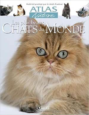 Livre sur les chats 