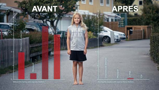 effet sur la santé de l'alimentation bio