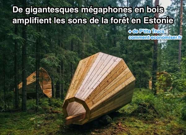 Megaphone dans la foret estonie