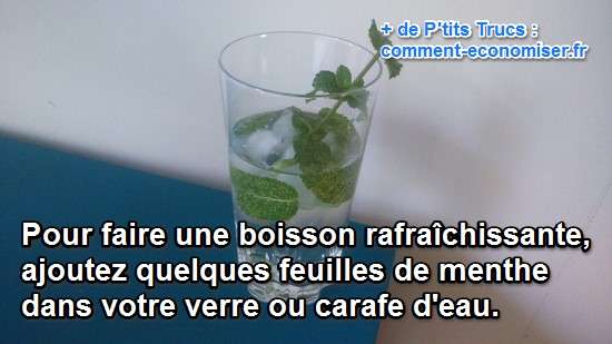 comment faire une boisson rafraichissante avec menthe