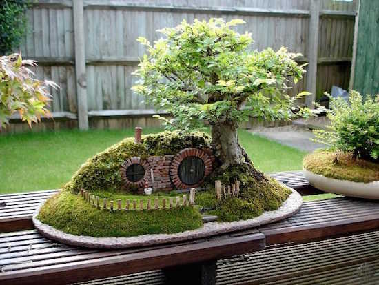 Un jardin miniature en maison hobbit