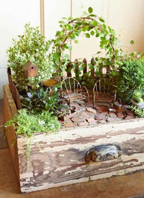 Un jardin miniature dans un tiroir
