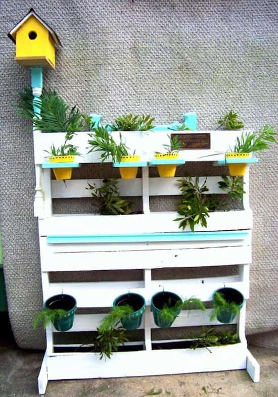 un mini jardin fait avec des palettes