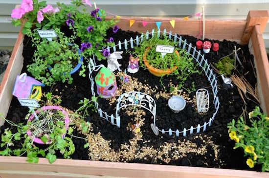Un jardin miniature de plantes aromatiques