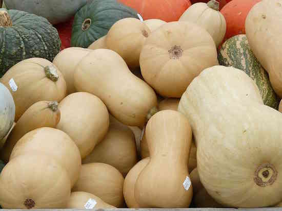 Ne conservez pas les courges au réfrigérateur