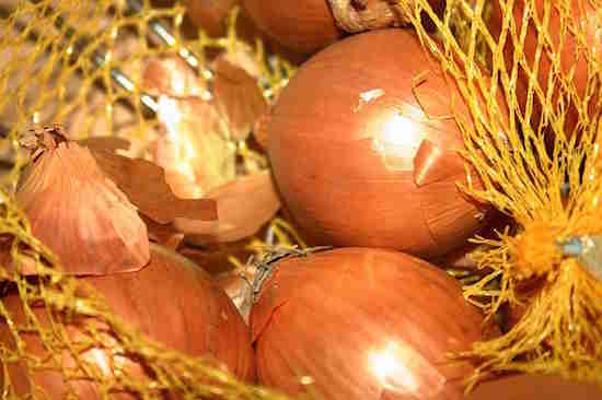 Ne conserver pas les oignons au réfrigérateur mais dans un sac en papier troué
