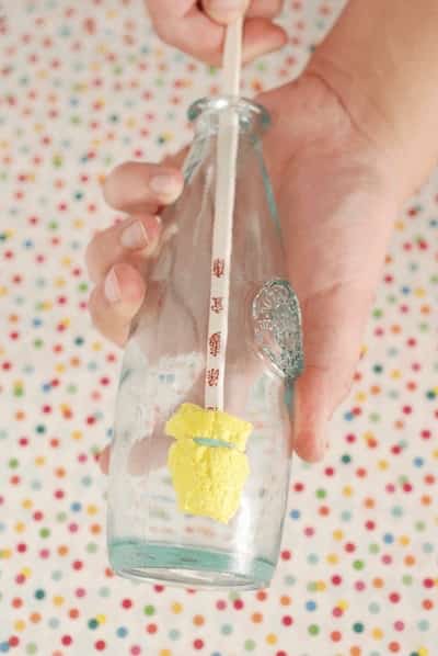 nettoyer vase avec éponge sur baguette