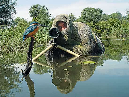 un oiseau s'approche de l'objectif du photographe camouflé