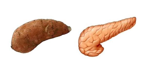 une patate douce qui ressemble à un pancréa