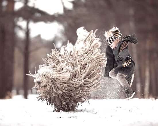 jeu entre un enfant et son gros chien dans la neige
