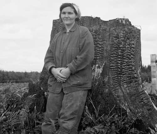 Votre grand-mère qui vient d'abattre un arbre