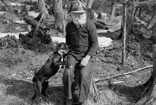 Votre grand-père qui se la coule douce sur une souche d'arbre