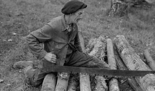 Votre grand-père en train de scier un tronc comme un chef