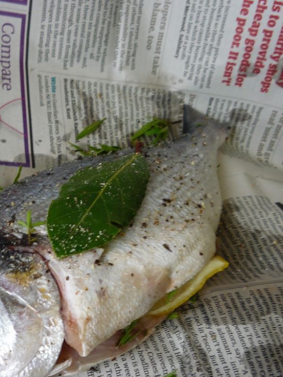 Envelopper le poisson dans du poisson journal