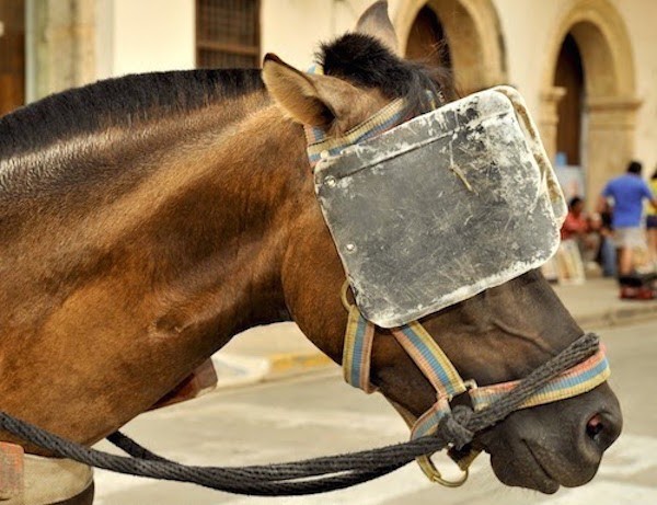 Est-ce que trop d'information tue l'information ?