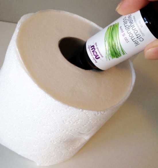 déodorant wc facile à faire