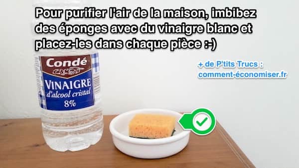 du vinaigre blanc pour désodoriser la maison