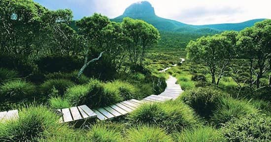 The Overland Track, une des randonnées les plus mythiques au monde.