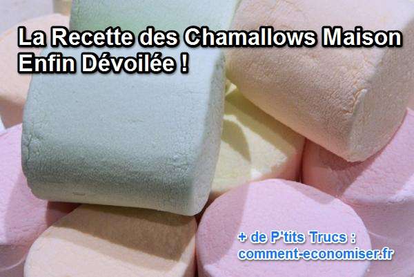 La Recette Des Chamallows Maison Enfin Devoilee