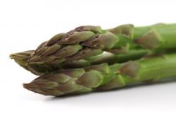 asperges