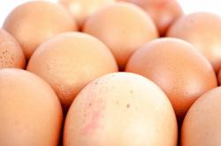 passez les blancs de poulet dans 2 oeufs battus